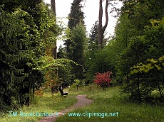 jardin,botanique,saverne.alsace