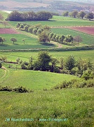 kochersberg en mai.alsace