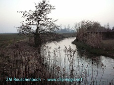 la bruche, janvier, lipsheim.alsace