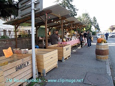 marche aux produits d automne a furdenheim.alsace