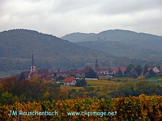 mittelbergheim et ruines d andlau au fond.alsace