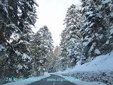 neige-au-mont-sainte-odile.alsace