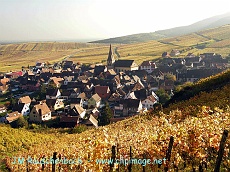 niedermorshwihr...alsace