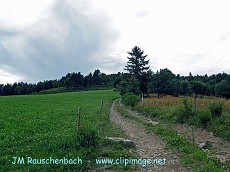 orbey,montagne.alsace