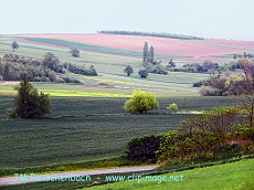 photo.kochersberg.mai.alsace.1.alsace