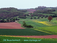 photo.kochersberg.mai.alsace.4.alsace