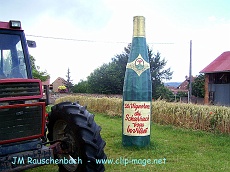 scharrarbergheim, sur la route du vin.alsace