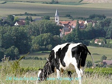 soulz les bains.alsace