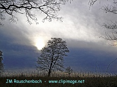 tableau.hivernal.alsace