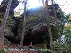 un rocher au mont sainte odile.alsace