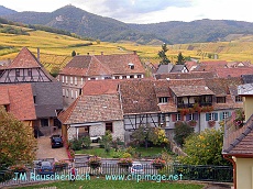 unavihr,vignoble et montagne.alsace