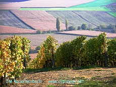 vignoble et campagne a nordheim.alsace