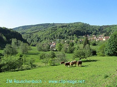 waldersbach,alsace,1.alsace