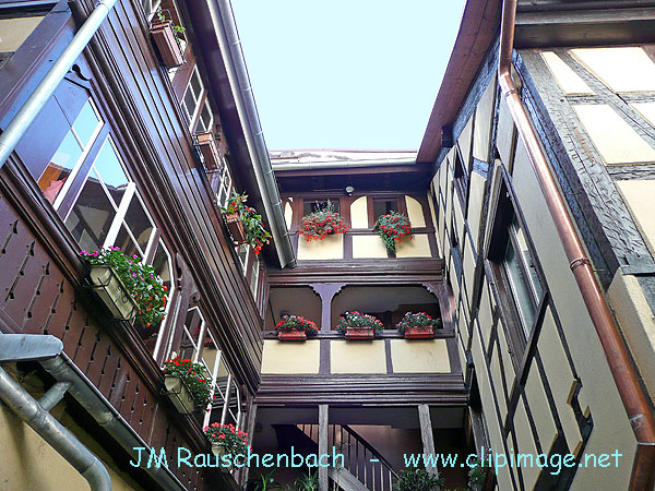 belle maison alsacienne, rue de l argile,strasbourg.jpg