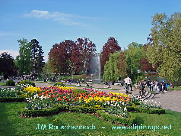 fleurs a l orangerie en avril..jpg