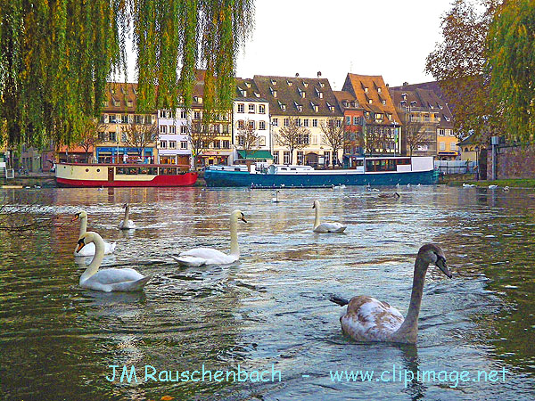 ill, quai des pecheurs en novembre.jpg