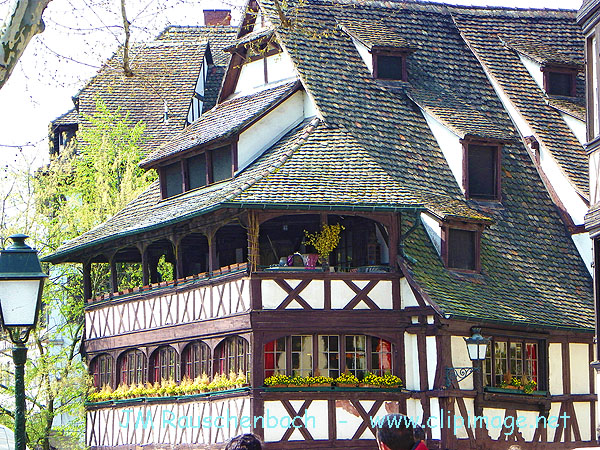 maison des tanneurs,strasbourg,petite france..jpg