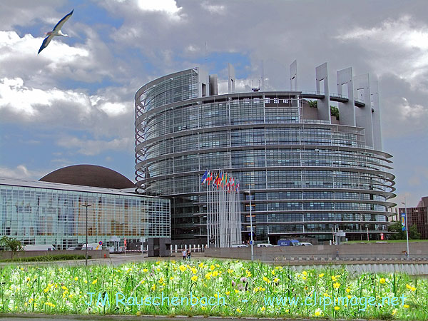 parlement-europeen-strasbourg-printemps.ipe4.jpg