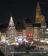 ,sapin-de-noel.strasbourg.place-kleber