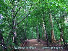 foret-parc-de-pourtales.strasbourg.3