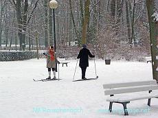 orangerie en hiver 2