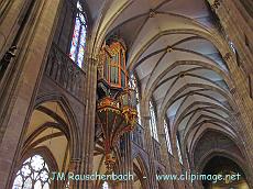 orgue.cathedrale-notre-dame.strasbourg