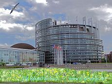 parlement-europeen-strasbourg-printemps.ipe4