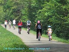 promenade,velo,nature,robertsau