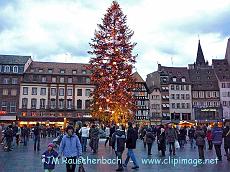 sapin de noel place kleber