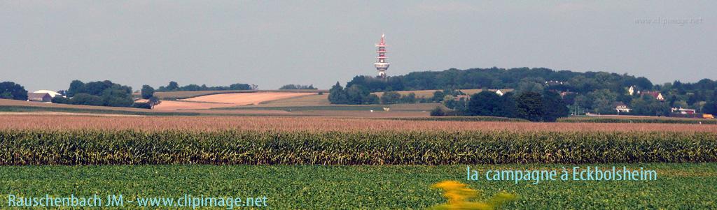 campagne eckbolsheim, tour de television oberhausbergen, alsace.JPG