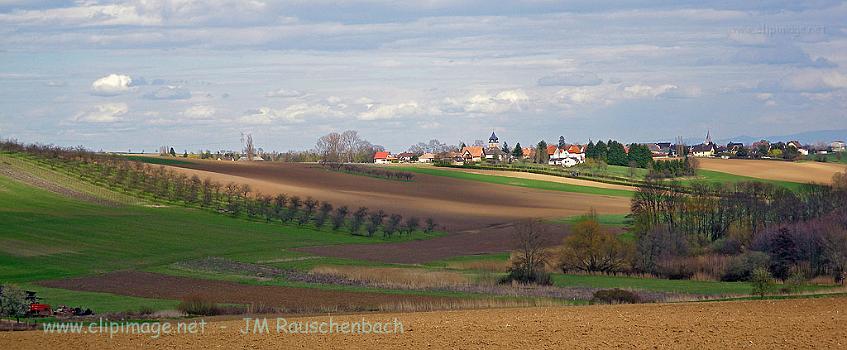 campagne,neugartheim,alsace,panoramique.jpg