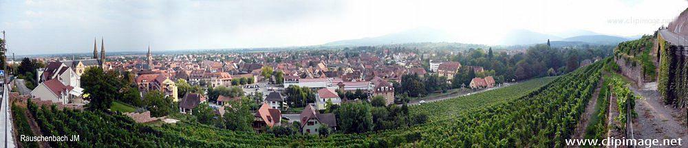 obernai et vignoble, alsace.jpg