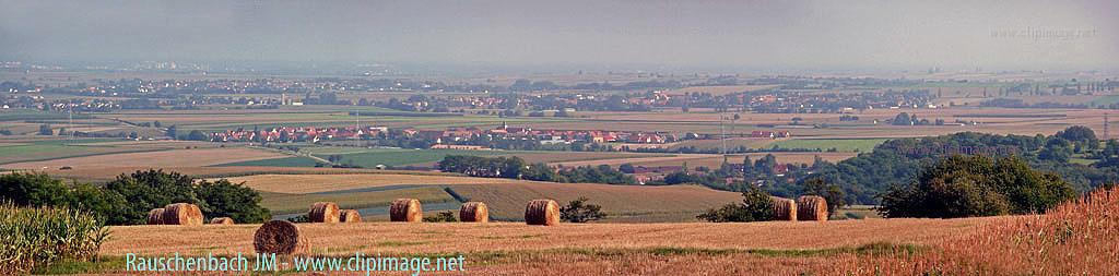 wintzenheim campagne, alsace.jpg