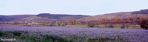 alsace,marlenheim en automne